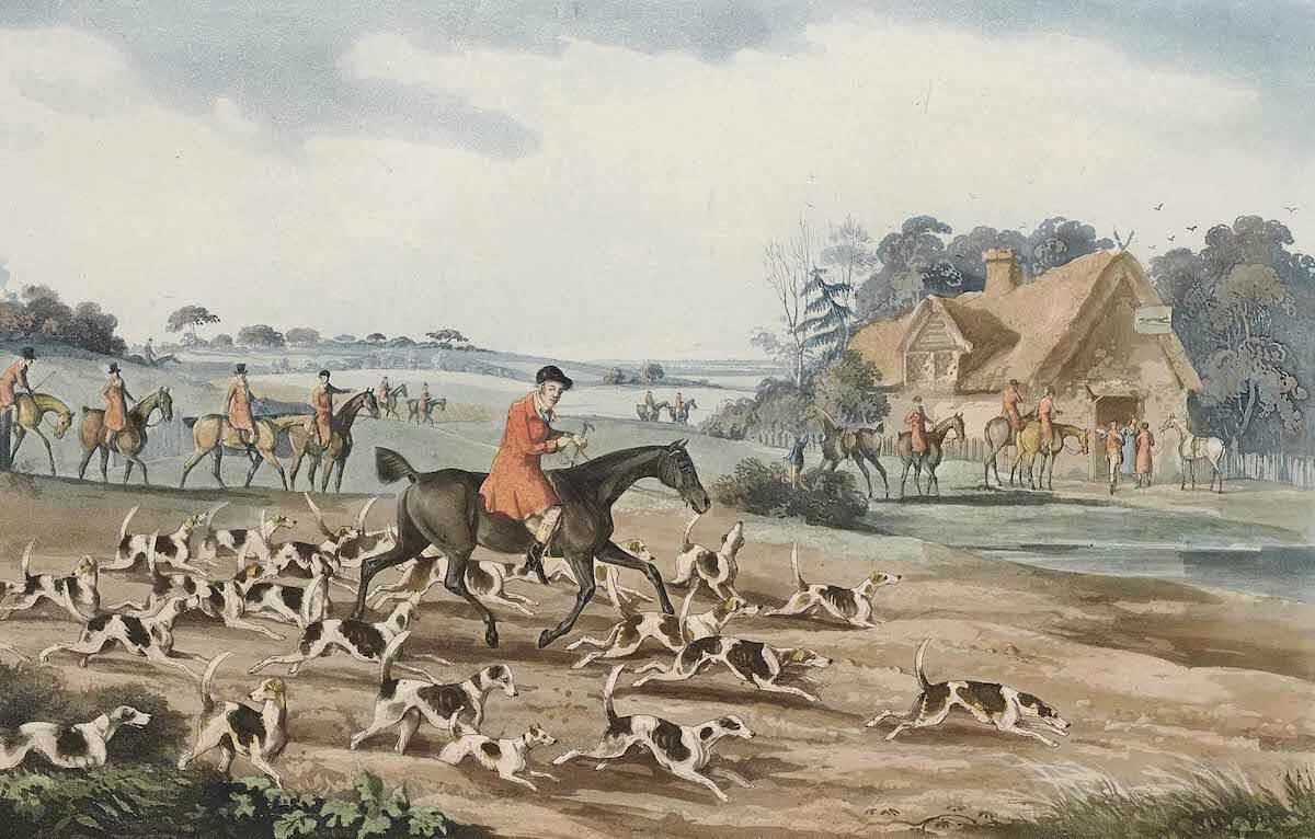 History Archive - Hunting Collection